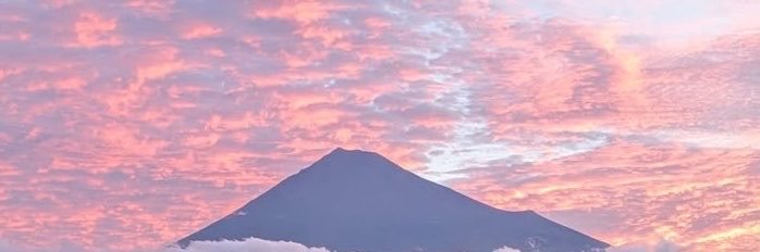 toriii11_'s profile banner image