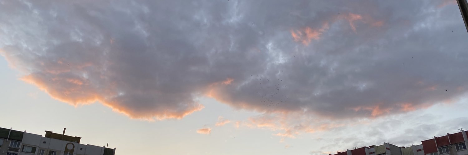 pomelovyh's profile banner image