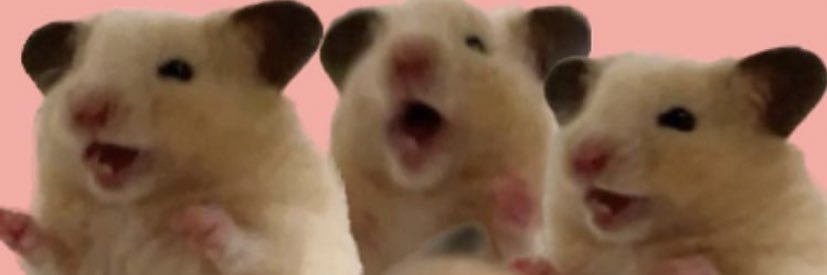 sweettsugarr's profile banner image