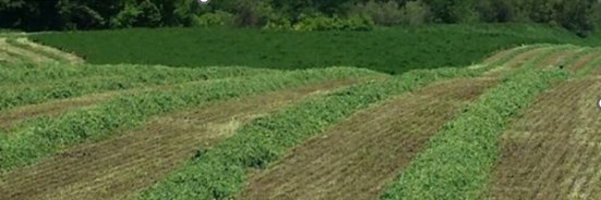farmerandchef's profile banner image