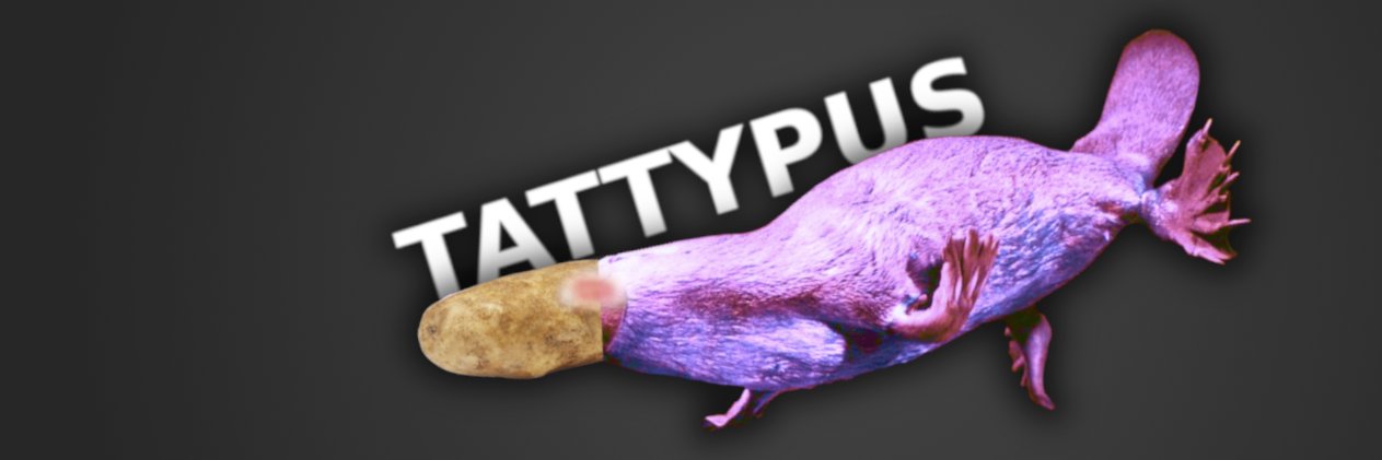 platymew's profile banner image