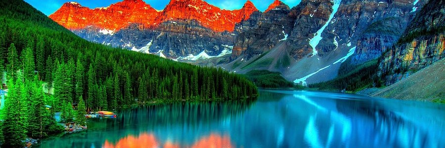 pecie constanta banner