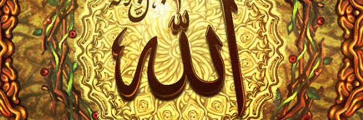 Maikus_jr's profile banner image