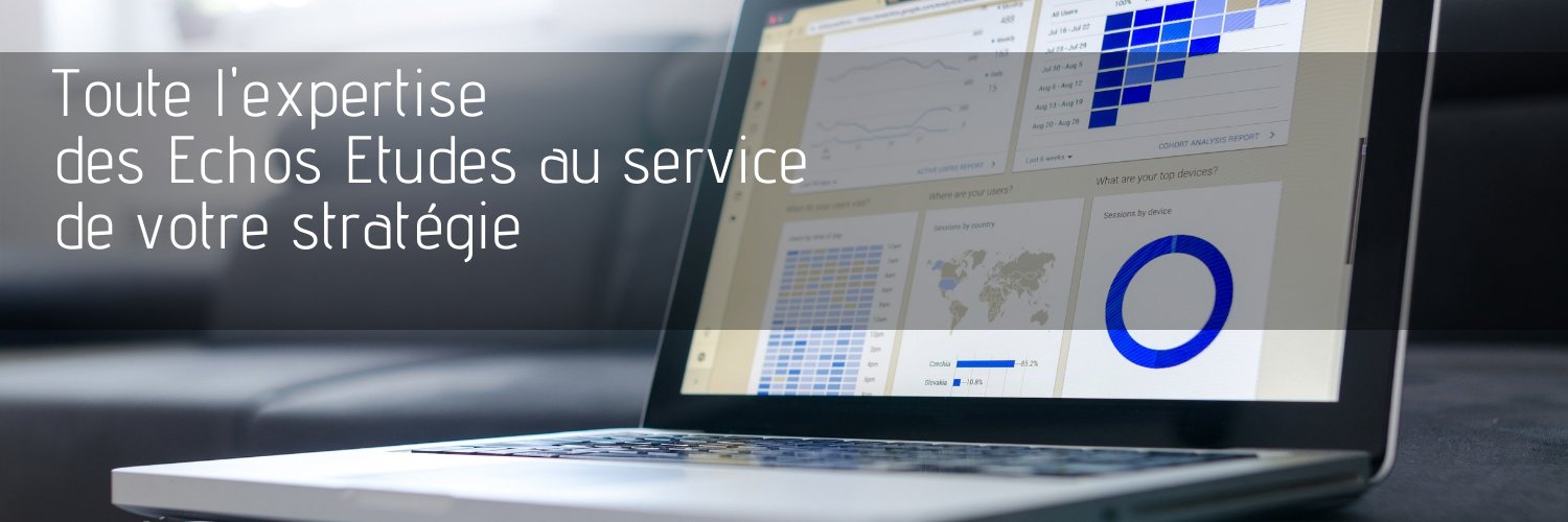 Les Echos Etudes banner