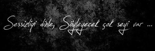 lvnt_arslan's profile banner image