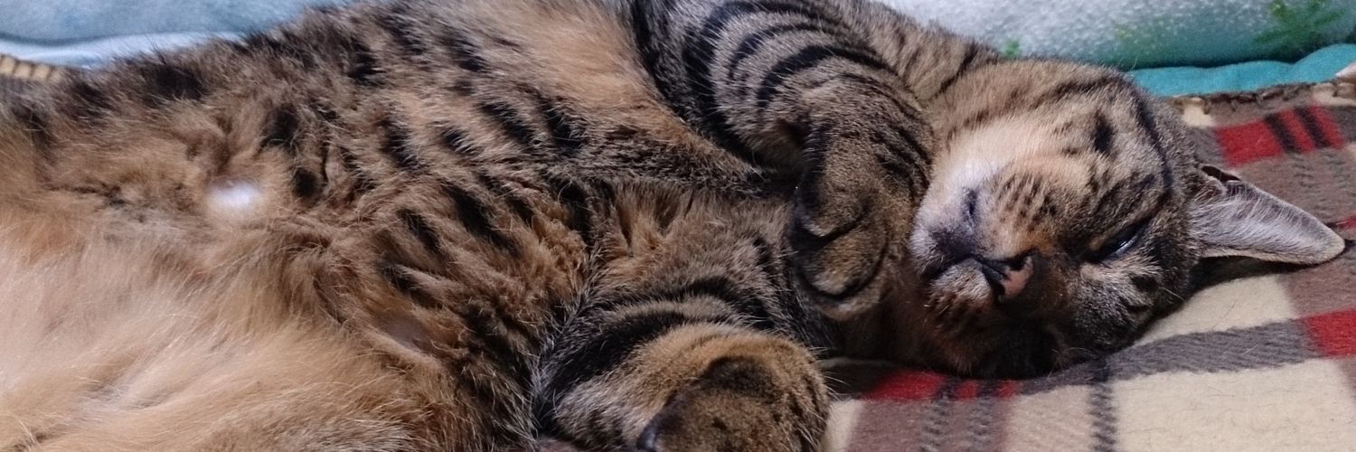 mito_2go's profile banner image