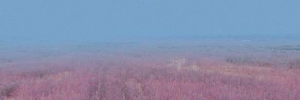ofeliaossian's profile banner image