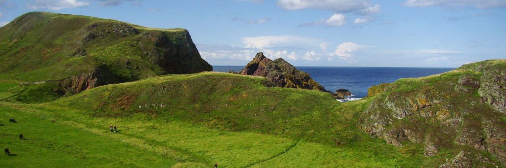 Prof-doc_Epicée banner