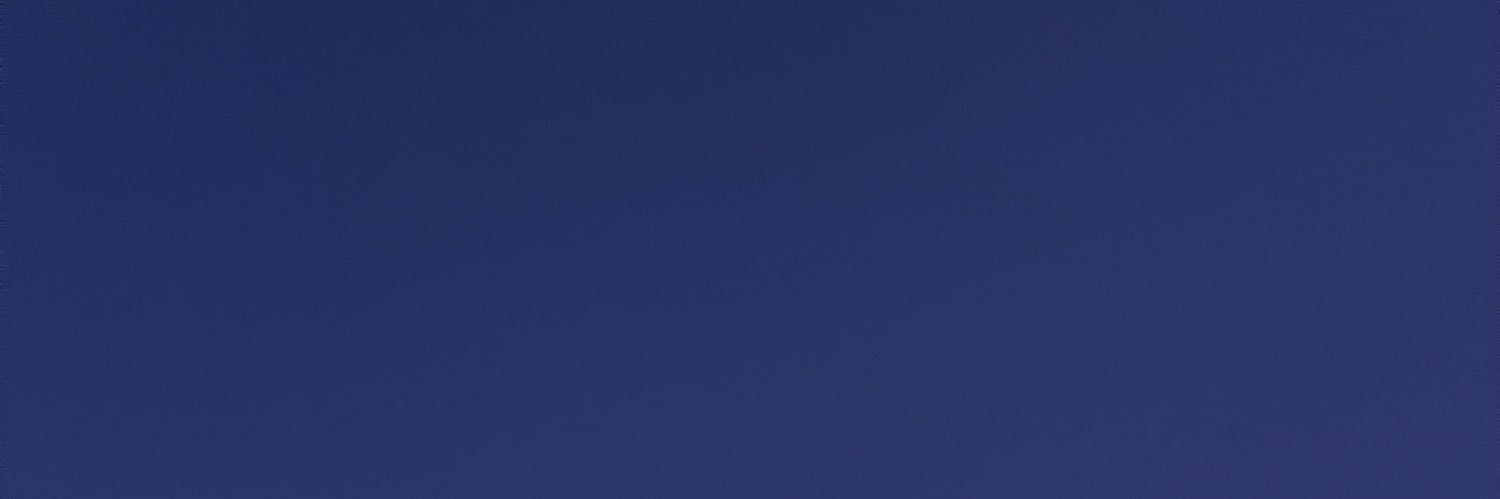 :P's banner