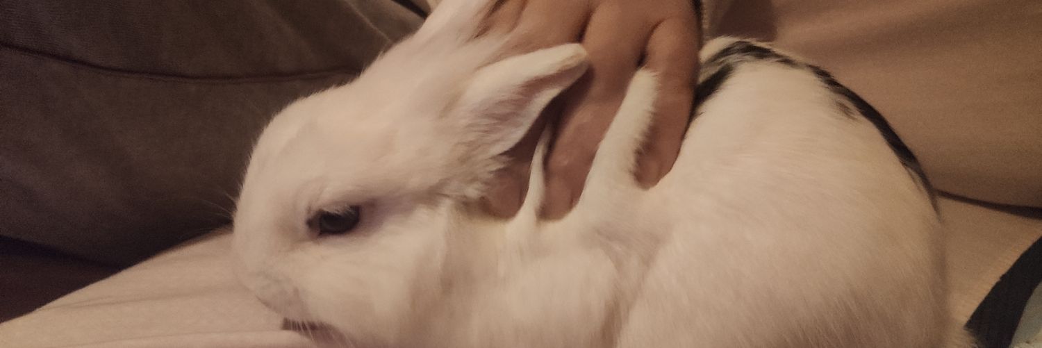 Pucebilbo73's profile banner image