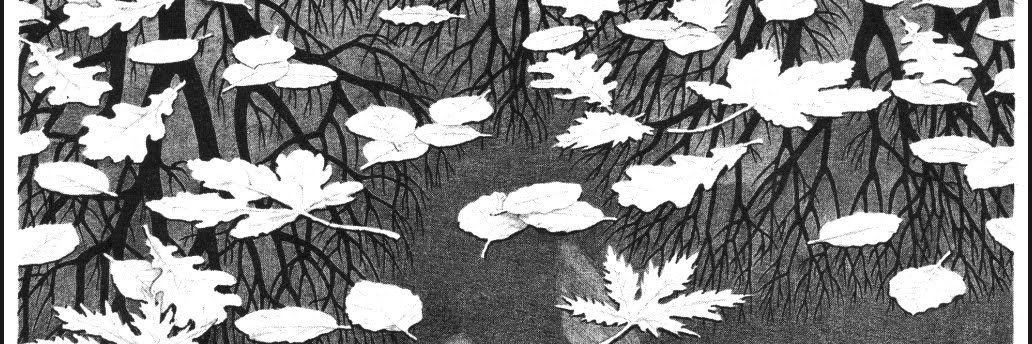 Dr Mari Chikvaidze banner