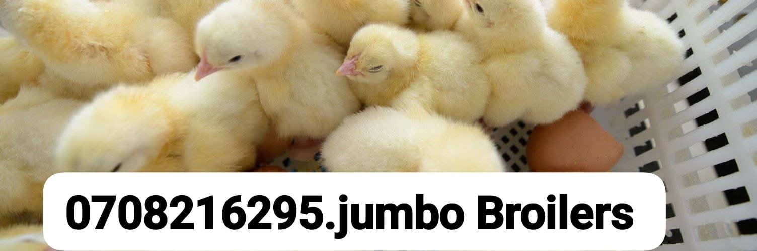 ChickswayKEN's profile banner image
