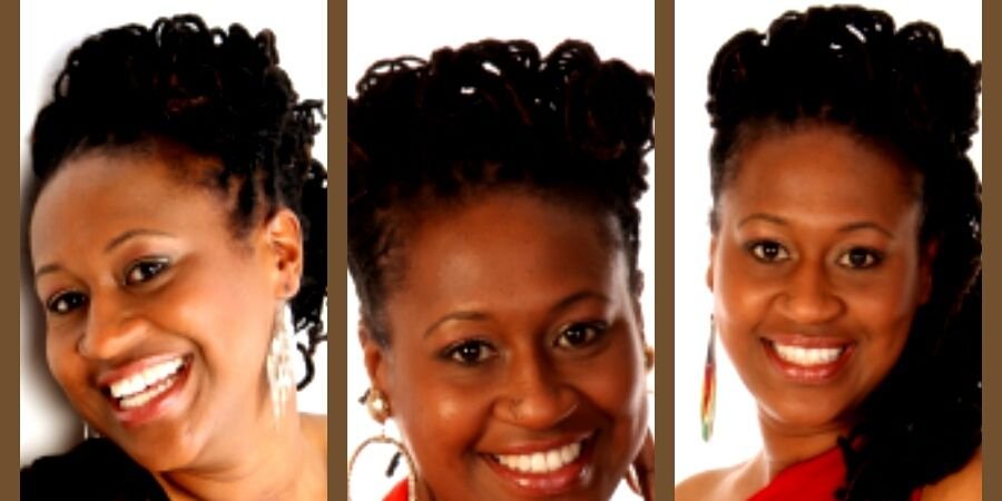 Lisa Hendricks banner