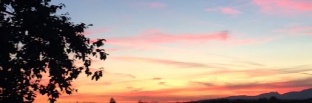 Michael Anderson banner