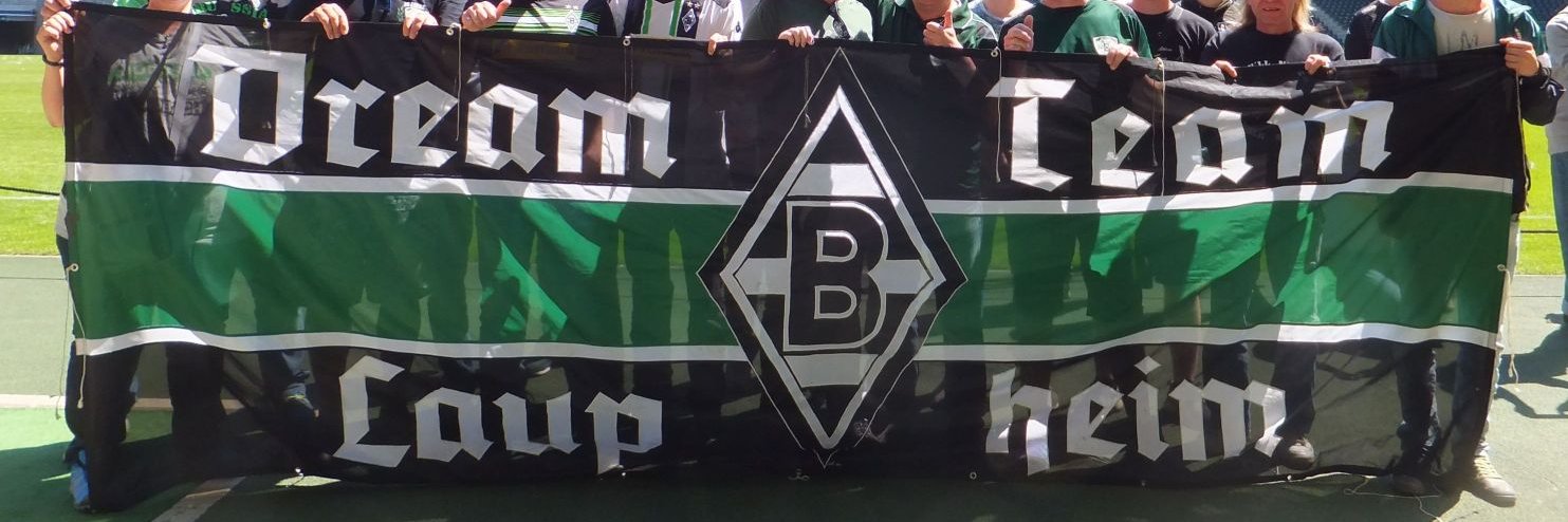 bfcdreamteam's profile banner image