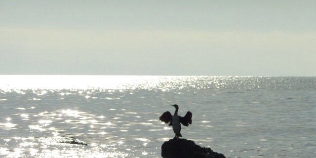 janehpilates's profile banner image