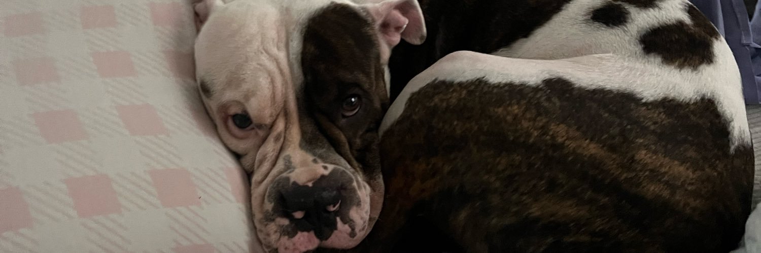 brendacrf__'s profile banner image