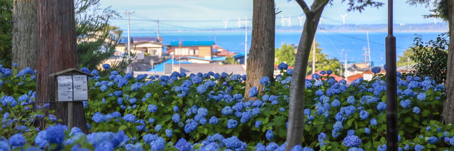 50fuga7337's profile banner image