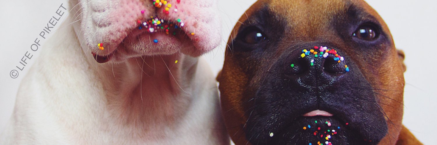 LifeOfPikelet's profile banner image