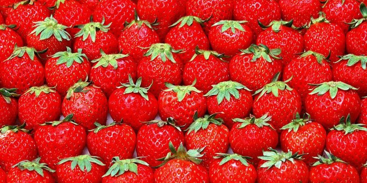 พลอยยังไหว👌🏻 banner