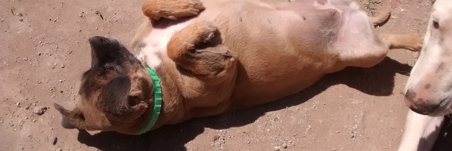 valecc7's profile banner image