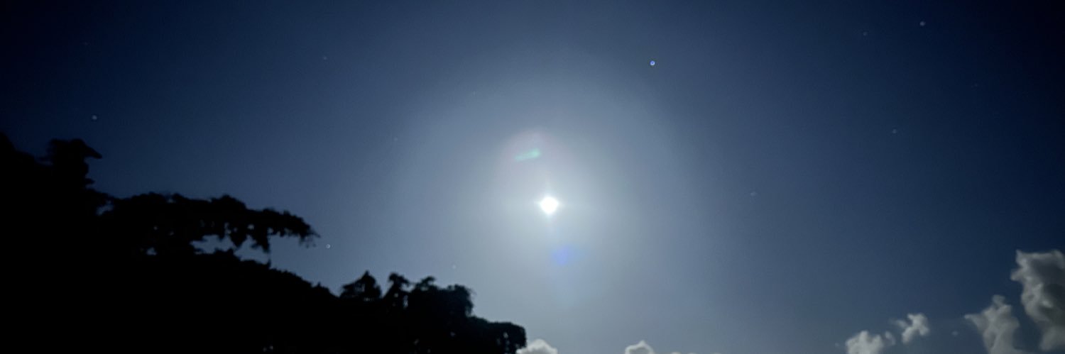 Carla Filotico banner