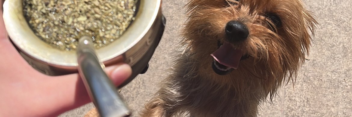 Angiemarietan's profile banner image