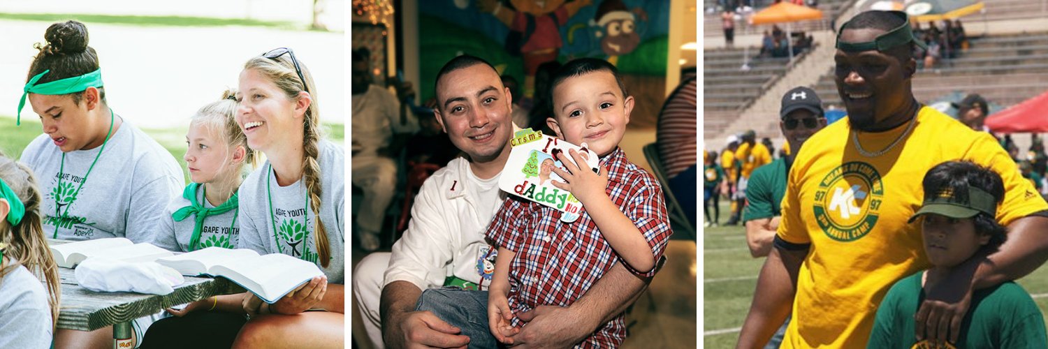 PFAngelTree's profile banner image
