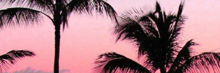 julibecca's profile banner image