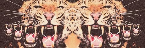 AlexandraKayP's profile banner image