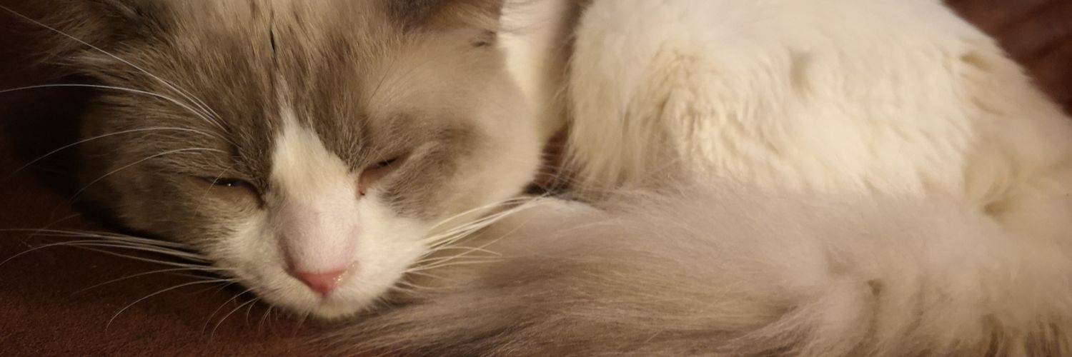 Leafrot's profile banner image
