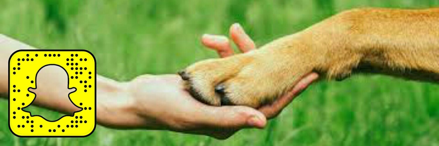 _animals_help_'s profile banner image