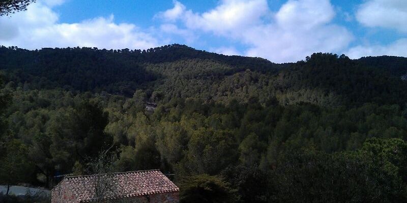 Ginés Mirón banner