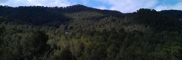 Ginesmir Profile Banner
