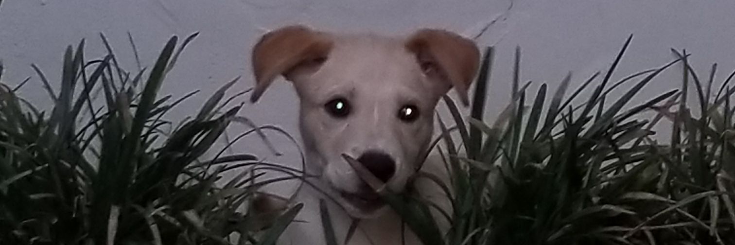 JuddIII87's profile banner image