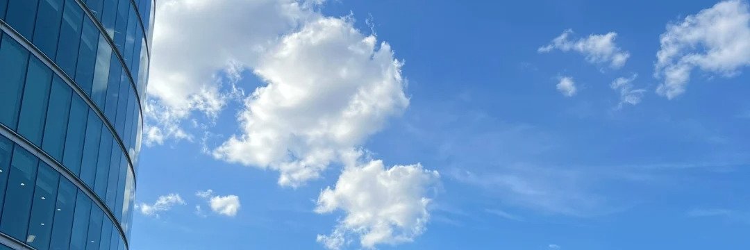 Celia🧸🖤 banner