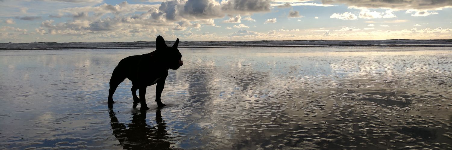clocky's profile banner image