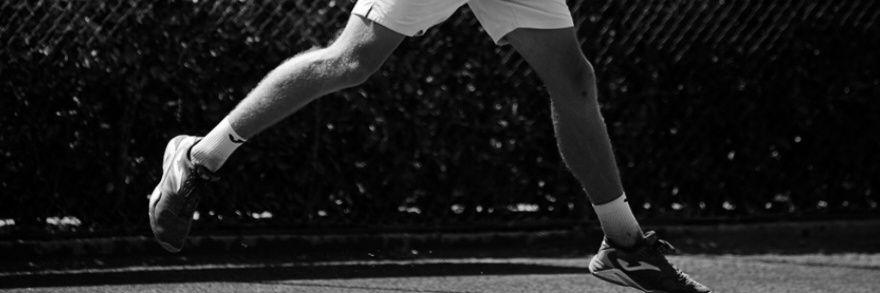 Nikl banner