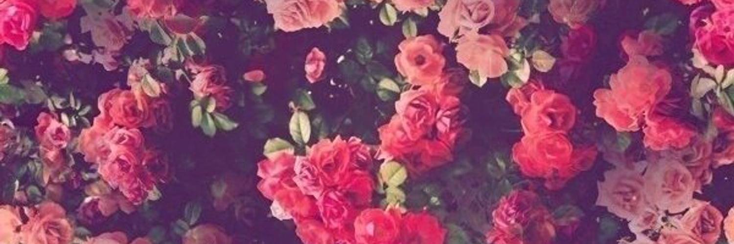 Confusionn's profile banner image