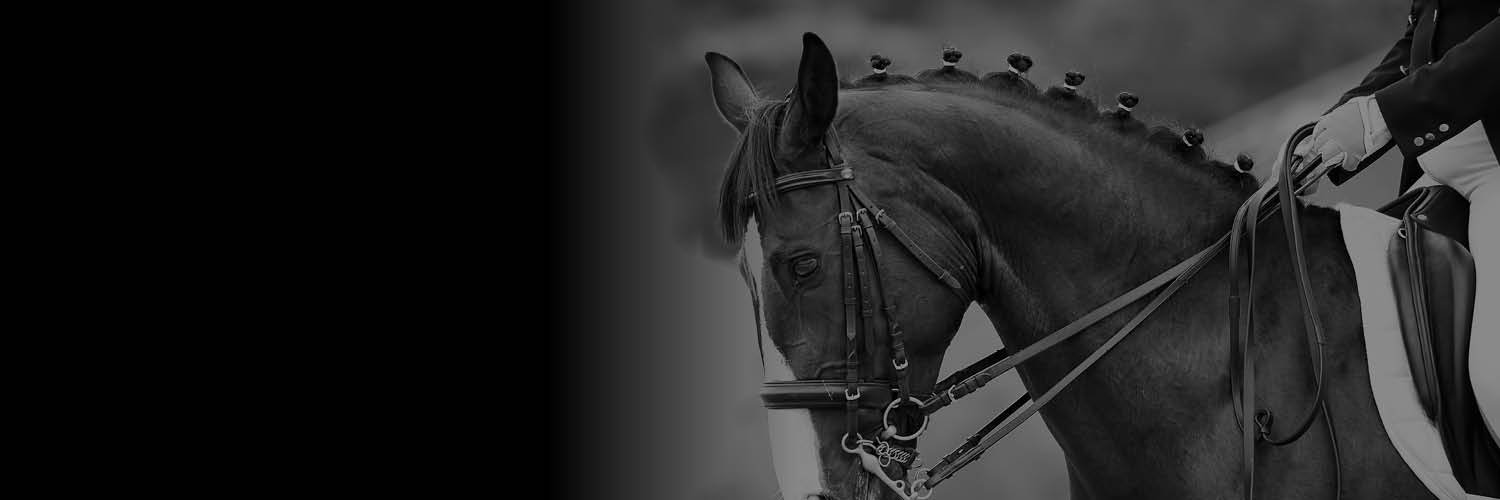 SaddlesDirect's profile banner image