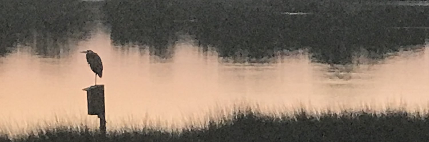 The Afaateid 🃏 banner