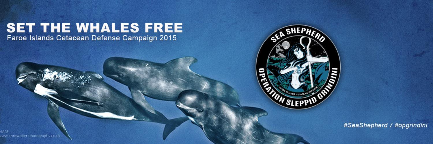 seashepherd_org's profile banner image