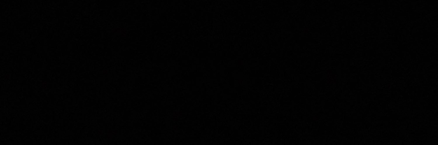 danielaslasl's profile banner image