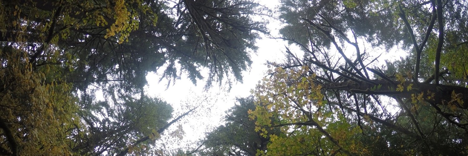 JosueTye's profile banner image