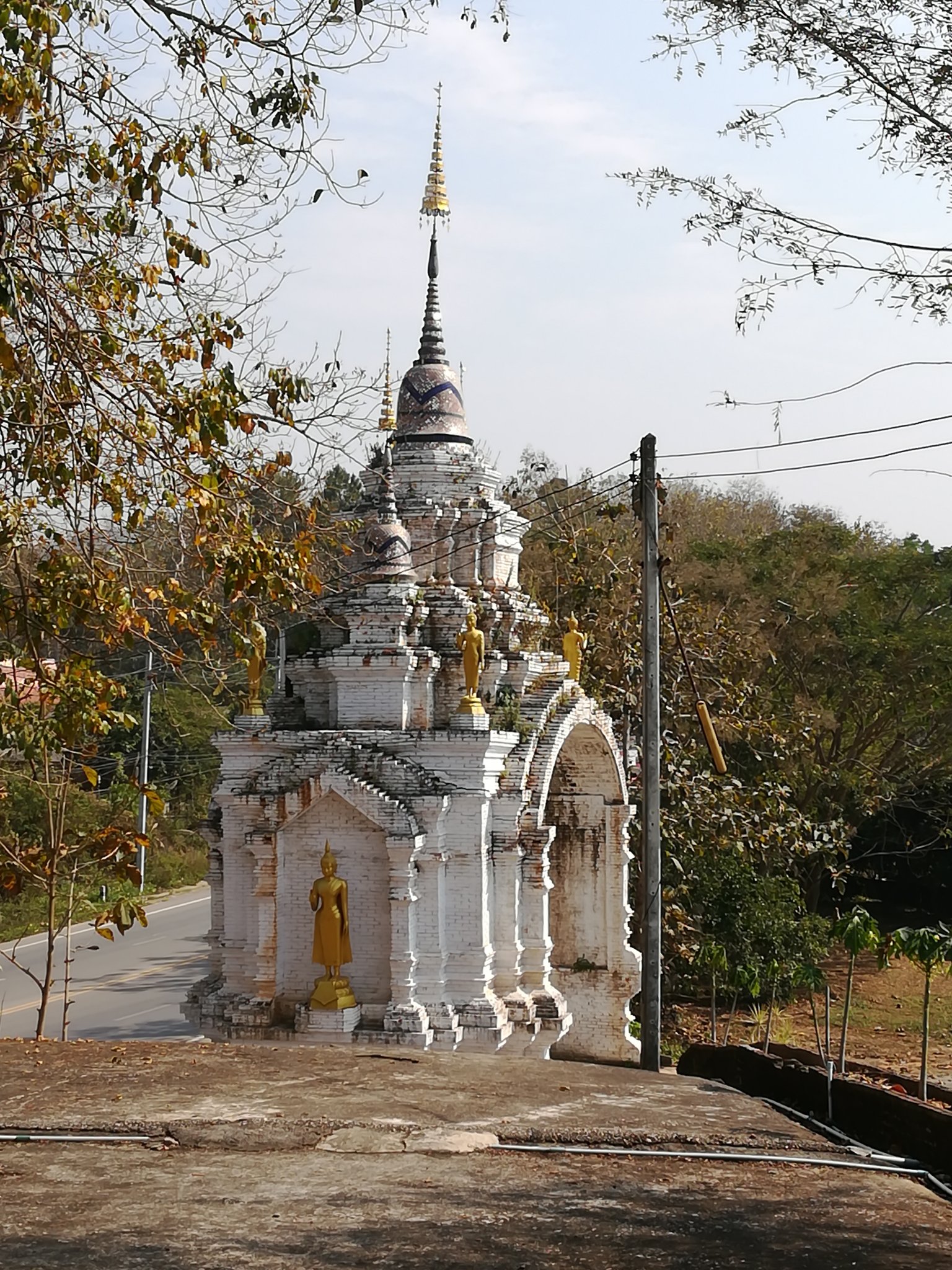 eleni gentekaki banner