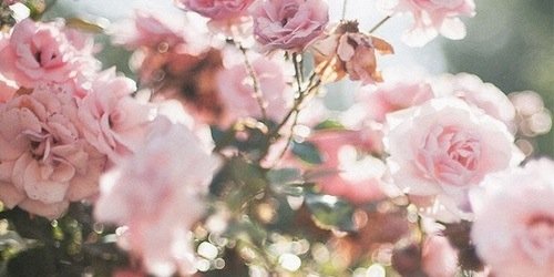 fcobaingdrx's profile banner image