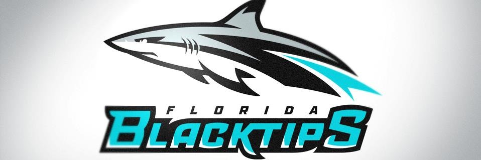 BlackTipsFXFL's profile banner image