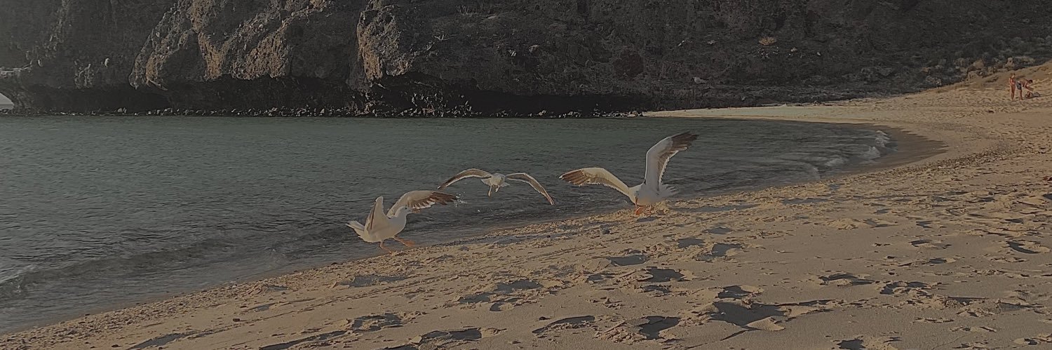 sisnyy's profile banner image
