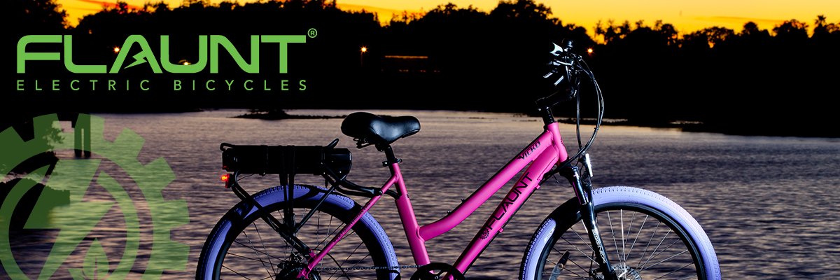 FlauntVehicles's profile banner image