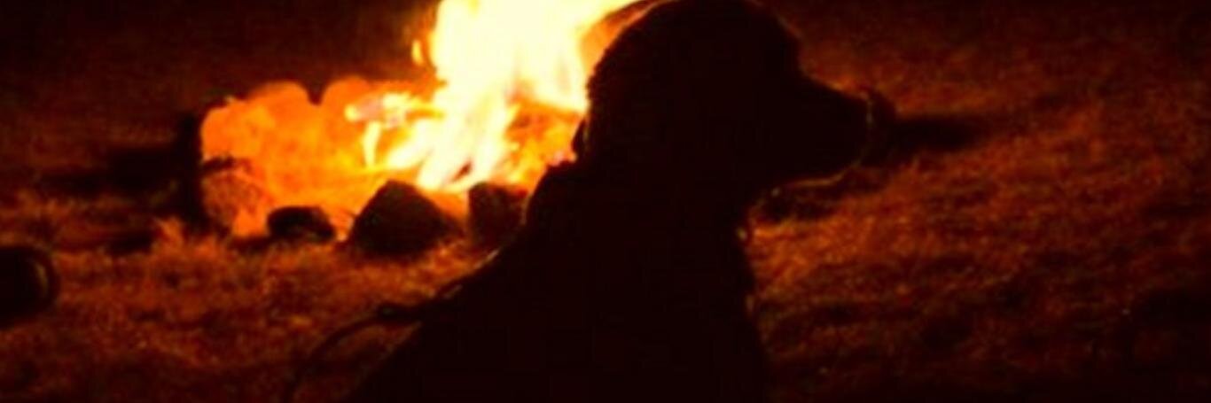 Santiaman's profile banner image